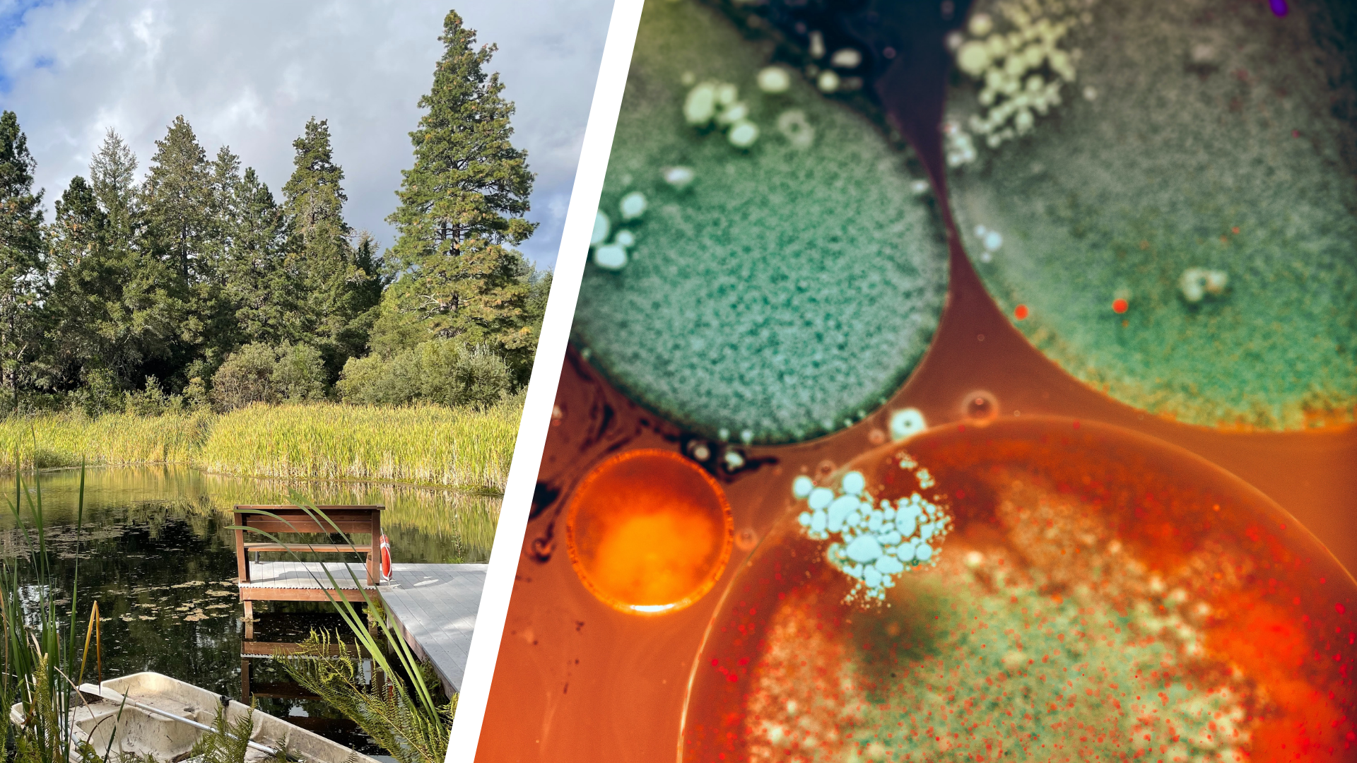 Bonny Doon (Howard Chao) AgTech Workshop